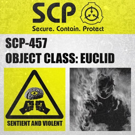 SCP-457 Label Blank Meme Template