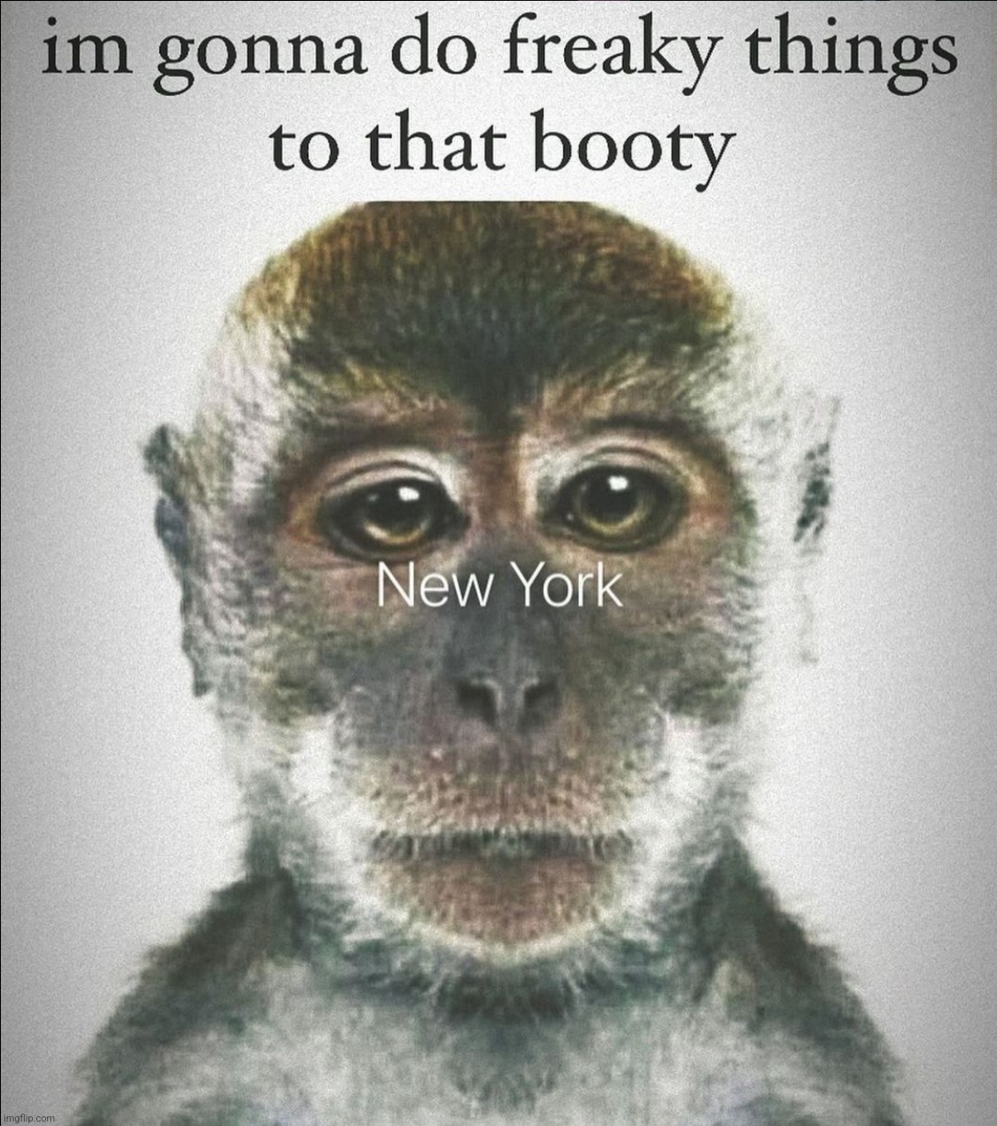 New York | made w/ Imgflip meme maker