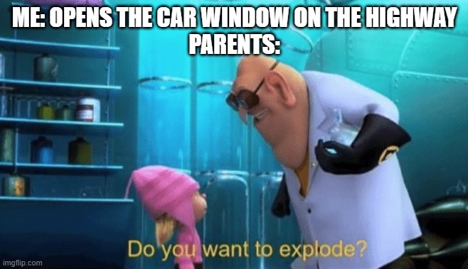 ARE YOU READY TO DIE??? | ME: OPENS THE CAR WINDOW ON THE HIGHWAY
PARENTS: | image tagged in memes,funny,funny memes | made w/ Imgflip meme maker