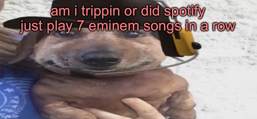 i mean yeah mockingbird goes hard but chill outtt | am i trippin or did spotify just play 7 eminem songs in a row | image tagged in chucklenuts | made w/ Imgflip meme maker