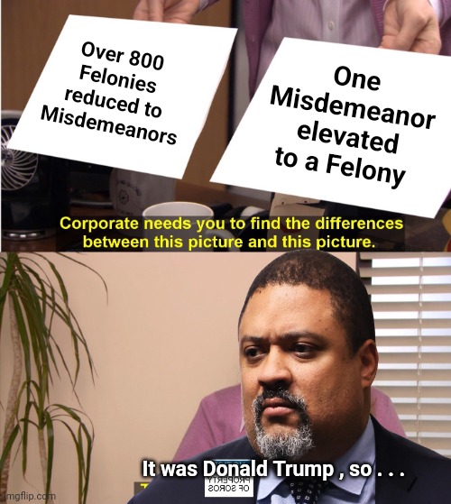 There's a (D)ifference | Over 800 Felonies reduced to Misdemeanors; One Misdemeanor elevated to a Felony; It was Donald Trump , so . . . | image tagged in memes,they're the same picture,bias,government corruption,new york city,district attorney | made w/ Imgflip meme maker