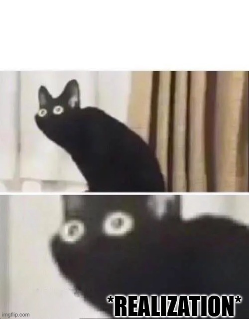 Oh No Black Cat | *REALIZATION* | image tagged in oh no black cat | made w/ Imgflip meme maker