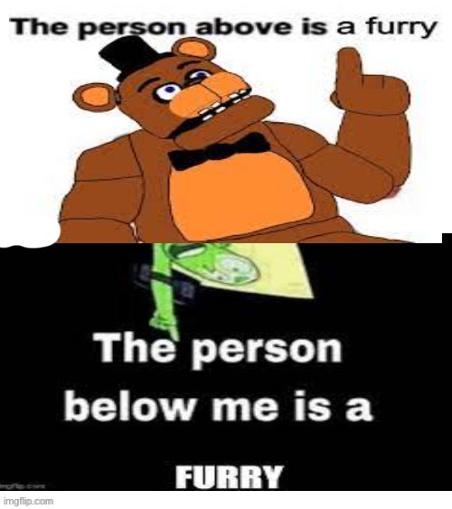 the person above is a furry AND the person below is a furry | image tagged in the person above is a furry and the person below is a furry | made w/ Imgflip meme maker
