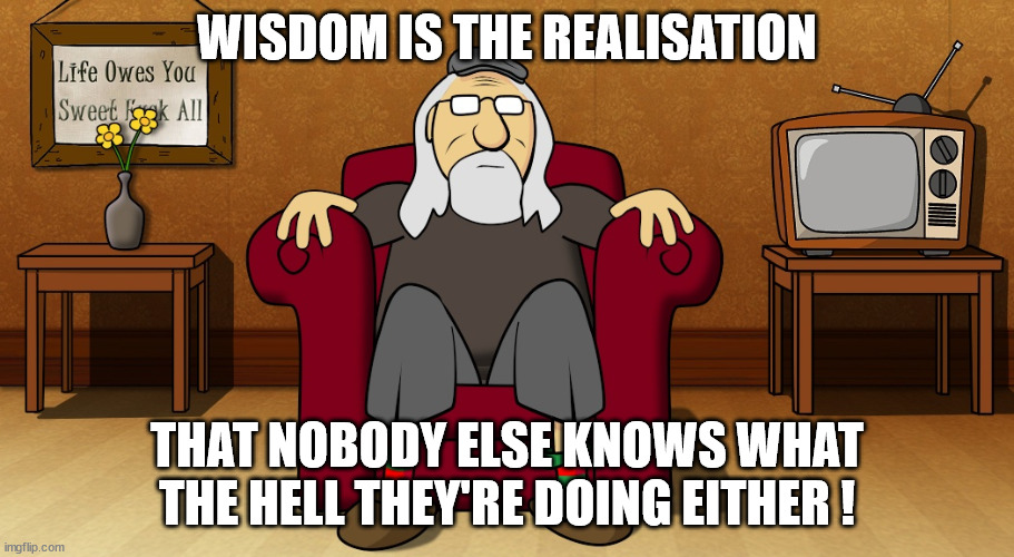 Wisdom | WISDOM IS THE REALISATION; THAT NOBODY ELSE KNOWS WHAT THE HELL THEY'RE DOING EITHER ! | image tagged in quotes,wisdom,wise,life lessons,ok boomer | made w/ Imgflip meme maker
