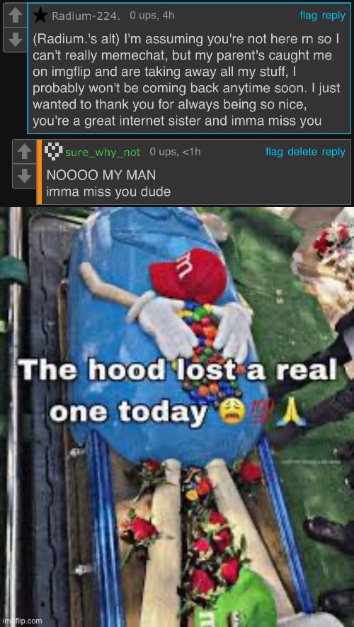 image tagged in the hood lost a real one today | made w/ Imgflip meme maker