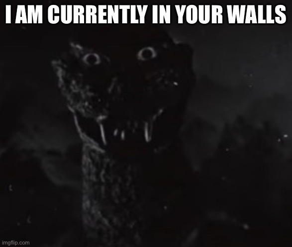 I AM CURRENTLY IN YOUR WALLS | made w/ Imgflip meme maker