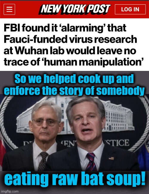 Your tax dollars at work | So we helped cook up and enforce the story of somebody; eating raw bat soup! | image tagged in merrick garland and christopher wray,memes,covid-19,coronavirus,fauci,fbi | made w/ Imgflip meme maker