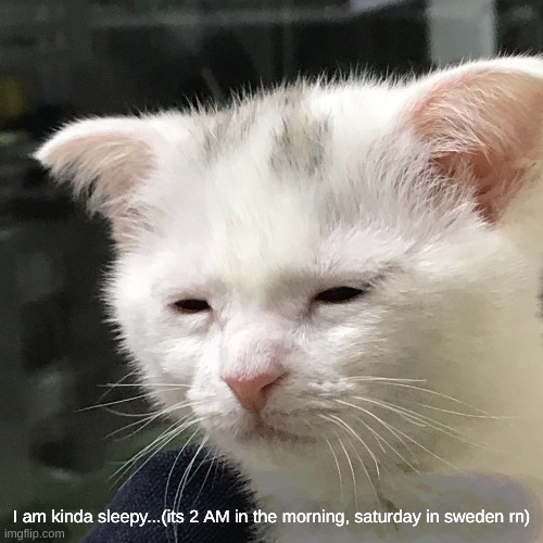 I'm awake, but at what cost? | I am kinda sleepy...(its 2 AM in the morning, saturday in sweden rn) | image tagged in i'm awake but at what cost | made w/ Imgflip meme maker
