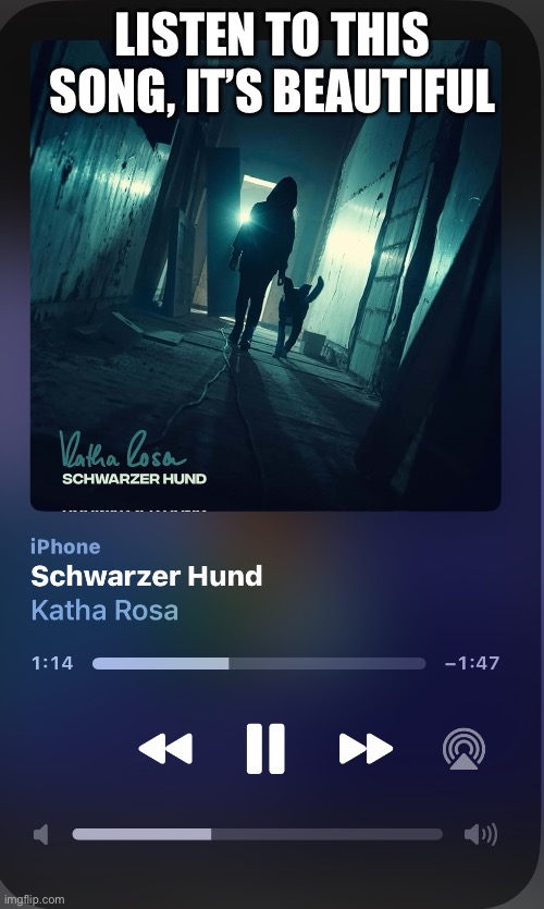 German pop > any other pop | LISTEN TO THIS SONG, IT’S BEAUTIFUL | made w/ Imgflip meme maker