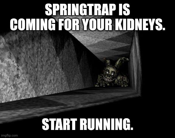 Yes | SPRINGTRAP IS COMING FOR YOUR KIDNEYS. START RUNNING. | image tagged in fnaf 3 | made w/ Imgflip meme maker