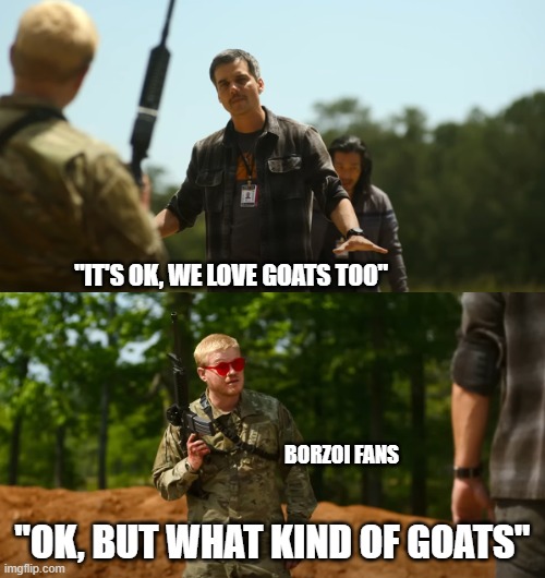 What kind of American are you | "IT'S OK, WE LOVE GOATS TOO"; BORZOI FANS; "OK, BUT WHAT KIND OF GOATS" | image tagged in what kind of american are you | made w/ Imgflip meme maker