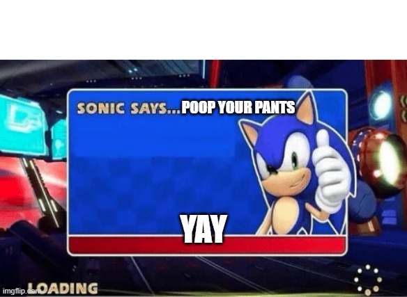 yay sunuc | POOP YOUR PANTS; YAY | image tagged in sonic says | made w/ Imgflip meme maker