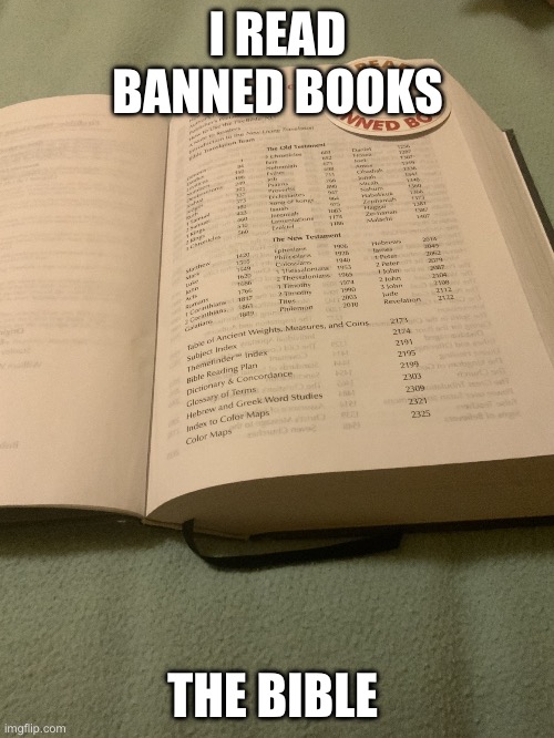 Most banned book | I READ BANNED BOOKS; THE BIBLE | image tagged in bible | made w/ Imgflip meme maker