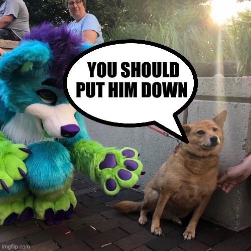 Dog afraid of furry | YOU SHOULD PUT HIM DOWN | image tagged in dog afraid of furry,anti furry,funny memes | made w/ Imgflip meme maker