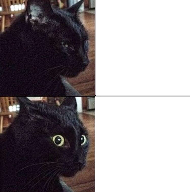 Black cat drake Blank Meme Template