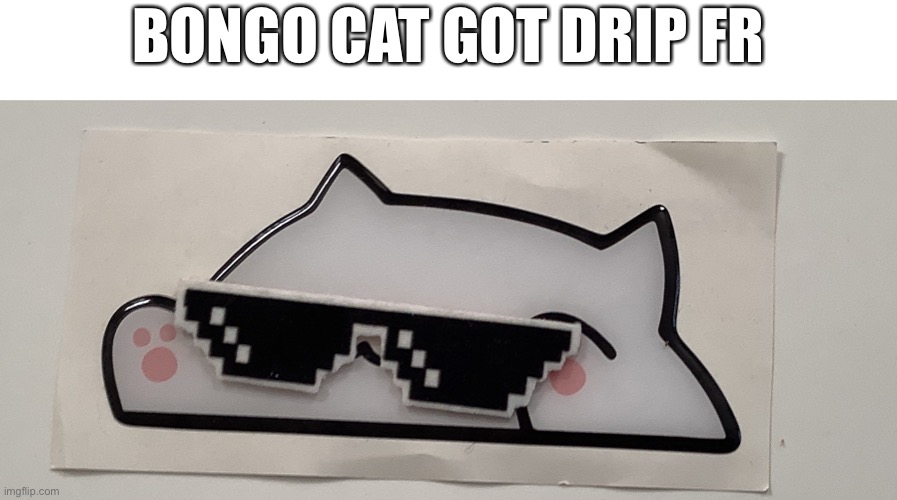 Bongo cat got drip fr | BONGO CAT GOT DRIP FR | image tagged in bongo cat,drip,bongo cat got drip fr | made w/ Imgflip meme maker
