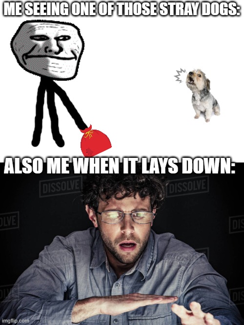 true story | ME SEEING ONE OF THOSE STRAY DOGS:; ALSO ME WHEN IT LAYS DOWN: | image tagged in ill just wait here,watching | made w/ Imgflip meme maker