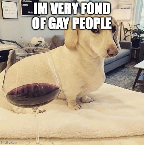 Homophobic Dog | IM VERY FOND OF GAY PEOPLE | image tagged in homophobic dog | made w/ Imgflip meme maker