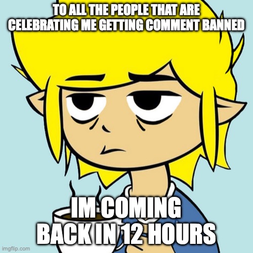 so im a hated user? | TO ALL THE PEOPLE THAT ARE CELEBRATING ME GETTING COMMENT BANNED; IM COMING BACK IN 12 HOURS | image tagged in leafyisnthere | made w/ Imgflip meme maker