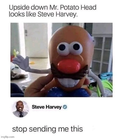 image tagged in memes,funny,msmg,steve harvey | made w/ Imgflip meme maker