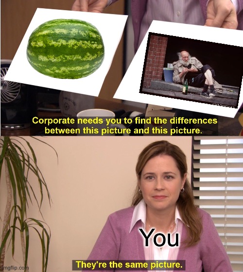 They're The Same Picture | You | image tagged in memes,they're the same picture | made w/ Imgflip meme maker