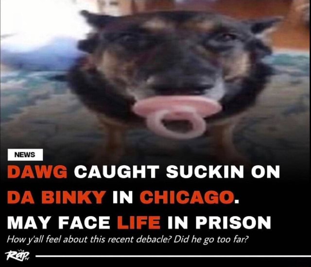 Dawg caught sucking on da binky may face life in prison Blank Meme Template