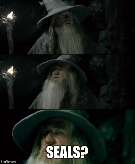 Confused Gandalf Meme | SEALS? | image tagged in memes,confused gandalf | made w/ Imgflip meme maker