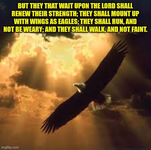 soaring eagle | BUT THEY THAT WAIT UPON THE LORD SHALL RENEW THEIR STRENGTH; THEY SHALL MOUNT UP WITH WINGS AS EAGLES; THEY SHALL RUN, AND NOT BE WEARY; AND THEY SHALL WALK, AND NOT FAINT. | image tagged in soaring eagle | made w/ Imgflip meme maker