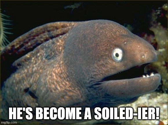 Bad Joke Eel Meme | HE'S BECOME A SOILED-IER! | image tagged in memes,bad joke eel | made w/ Imgflip meme maker