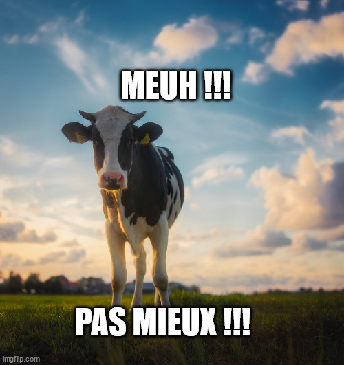 Vache fun | MEUH !!! PAS MIEUX !!! | image tagged in vache fun | made w/ Imgflip meme maker