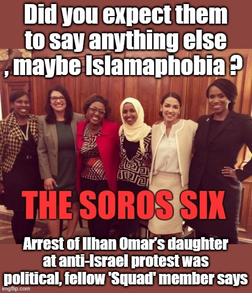 Did you expect them to say anything else , maybe Islamaphobia ? Arrest of Ilhan Omar’s daughter at anti-Israel protest was political, fellow 'Squad' member says | made w/ Imgflip meme maker