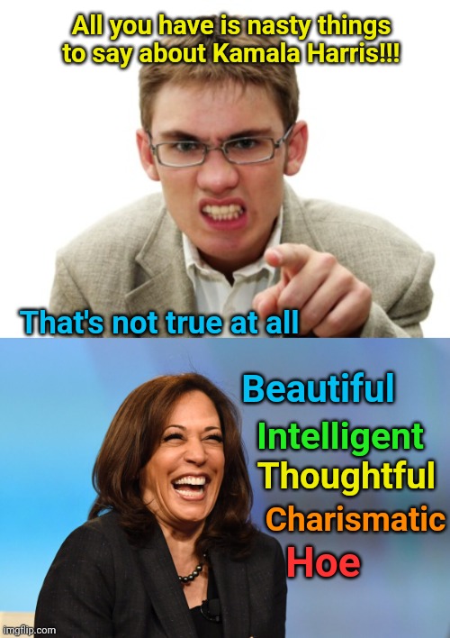 All you have is nasty things to say about Kamala Harris!!! That's not true at all; Beautiful; Intelligent; Thoughtful; Charismatic; Hoe | image tagged in angry liberal,kamala harris laughing | made w/ Imgflip meme maker