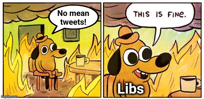 This Is Fine Meme | No mean
tweets! Libs | image tagged in memes,this is fine | made w/ Imgflip meme maker