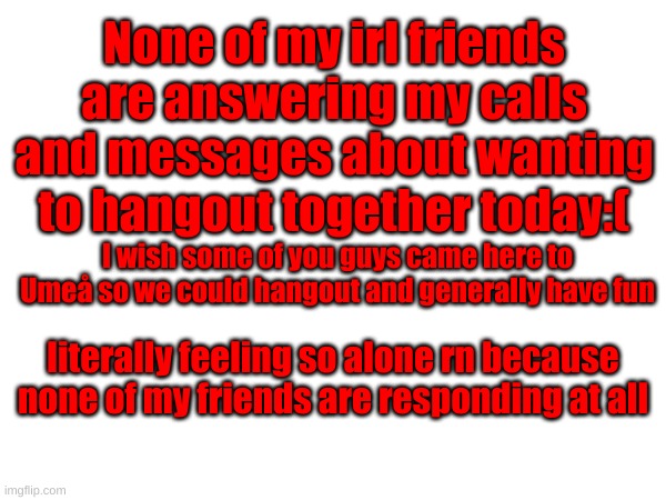 None of my irl friends are answering my calls and messages about wanting to hangout together today:(; I wish some of you guys came here to Umeå so we could hangout and generally have fun; literally feeling so alone rn because none of my friends are responding at all | made w/ Imgflip meme maker