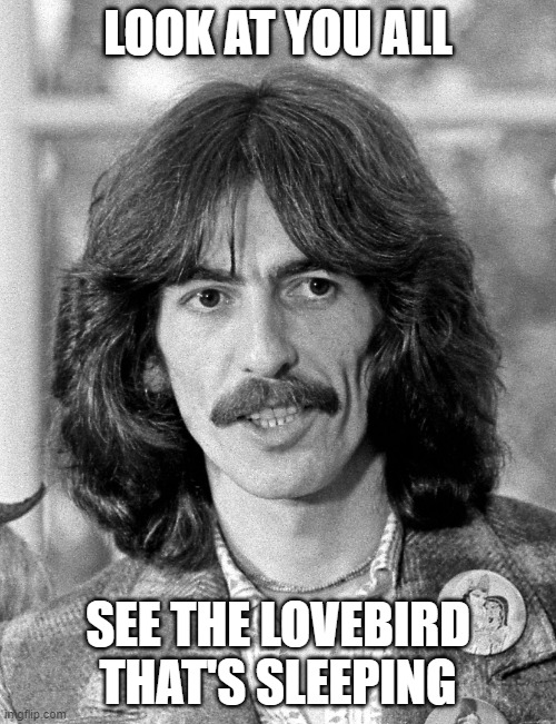 happy birthday george. (1 month late...) rip he will be remember | LOOK AT YOU ALL; SEE THE LOVEBIRD THAT'S SLEEPING | image tagged in george harrison,the beatles | made w/ Imgflip meme maker