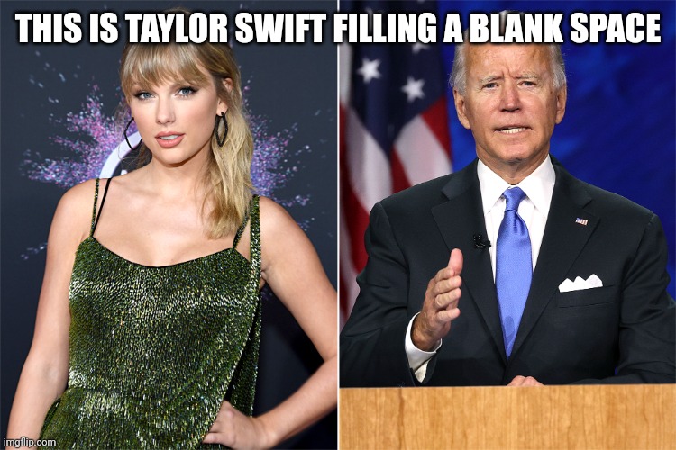 Taylor Biden | THIS IS TAYLOR SWIFT FILLING A BLANK SPACE | image tagged in taylor biden,blank,space | made w/ Imgflip meme maker