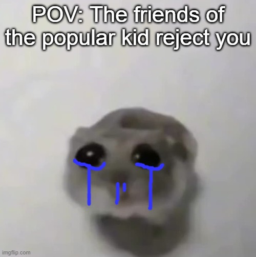 *upset* | POV: The friends of the popular kid reject you | image tagged in sad hamster,sad but true,sad memes,memes | made w/ Imgflip meme maker