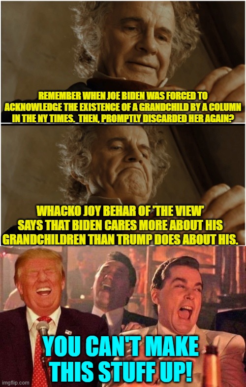 This demonstrates how stupid leftist elites consider the average Dem Party voter. | REMEMBER WHEN JOE BIDEN WAS FORCED TO ACKNOWLEDGE THE EXISTENCE OF A GRANDCHILD BY A COLUMN IN THE NY TIMES.  THEN, PROMPTLY DISCARDED HER AGAIN? WHACKO JOY BEHAR OF 'THE VIEW' SAYS THAT BIDEN CARES MORE ABOUT HIS GRANDCHILDREN THAN TRUMP DOES ABOUT HIS. YOU CAN'T MAKE THIS STUFF UP! | image tagged in bilbo - why shouldn t i keep it | made w/ Imgflip meme maker