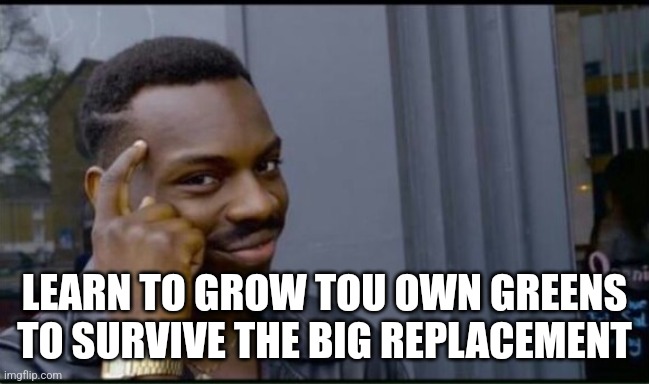 Thinking Black Man | LEARN TO GROW TOU OWN GREENS TO SURVIVE THE BIG REPLACEMENT | image tagged in thinking black man | made w/ Imgflip meme maker