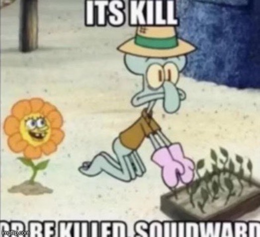 ah hell gnaw spunchbub gud done the geno route | image tagged in it s killed or be killed squidward | made w/ Imgflip meme maker