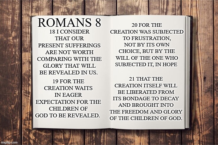 Romans 8:18-21 | 20 FOR THE CREATION WAS SUBJECTED TO FRUSTRATION, NOT BY ITS OWN CHOICE, BUT BY THE WILL OF THE ONE WHO SUBJECTED IT, IN HOPE; ROMANS 8; 18 I CONSIDER THAT OUR PRESENT SUFFERINGS ARE NOT WORTH COMPARING WITH THE GLORY THAT WILL BE REVEALED IN US. 19 FOR THE CREATION WAITS IN EAGER EXPECTATION FOR THE CHILDREN OF GOD TO BE REVEALED. 21 THAT THE CREATION ITSELF WILL BE LIBERATED FROM ITS BONDAGE TO DECAY AND BROUGHT INTO THE FREEDOM AND GLORY OF THE CHILDREN OF GOD. | image tagged in romans,crying out,frustrated,deliverence,christ | made w/ Imgflip meme maker