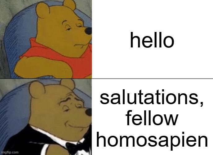fancy greetings | hello; salutations, fellow homosapien | image tagged in memes,tuxedo winnie the pooh,funny | made w/ Imgflip meme maker