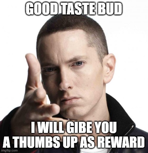 Eminem video game logic | GOOD TASTE BUD I WILL GIBE YOU A THUMBS UP AS REWARD | image tagged in eminem video game logic | made w/ Imgflip meme maker