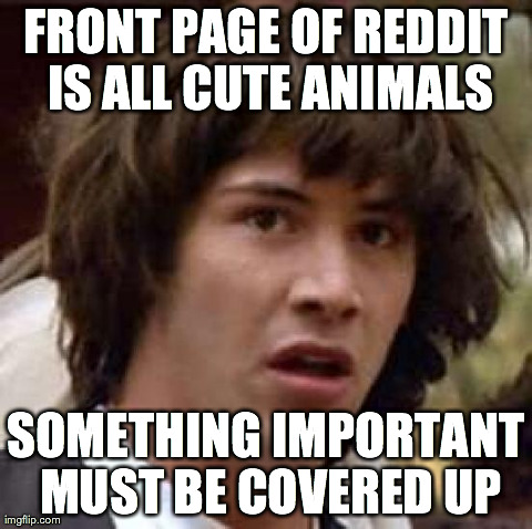 Conspiracy Keanu Meme | FRONT PAGE OF REDDIT IS ALL CUTE ANIMALS SOMETHING IMPORTANT MUST BE COVERED UP | image tagged in memes,conspiracy keanu | made w/ Imgflip meme maker