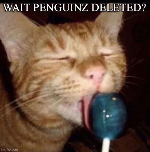 silly goober 2 | WAIT PENGUINZ DELETED? | image tagged in silly goober 2 | made w/ Imgflip meme maker