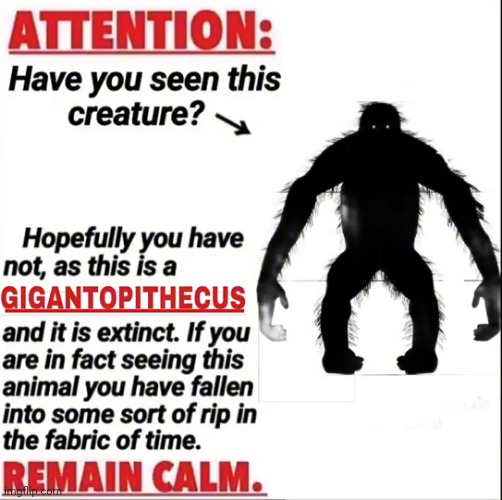 Gigantopithecus.mp3 | made w/ Imgflip meme maker