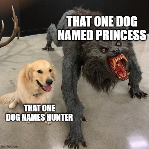 Fr dough. | THAT ONE DOG NAMED PRINCESS; THAT ONE DOG NAMES HUNTER | image tagged in dog vs werewolf | made w/ Imgflip meme maker