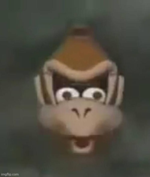 donkey kong shocked | image tagged in donkey kong shocked | made w/ Imgflip meme maker