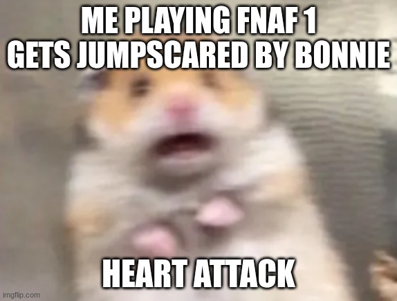 scared gineapig | ME PLAYING FNAF 1 GETS JUMPSCARED BY BONNIE; HEART ATTACK | image tagged in scared gineapig | made w/ Imgflip meme maker
