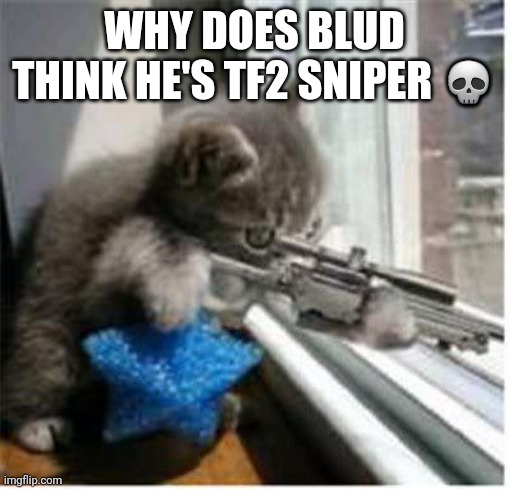 cats with guns | WHY DOES BLUD THINK HE'S TF2 SNIPER 💀 | image tagged in cats with guns | made w/ Imgflip meme maker